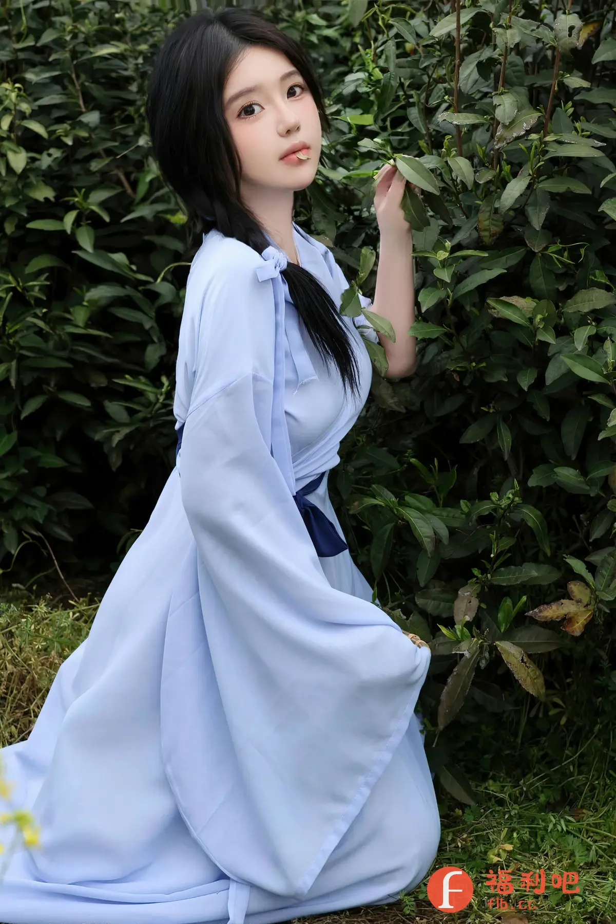 照片中,一位年轻的亚洲女性身穿一件浅蓝色的汉服,跪坐在绿色的植物丛中。她有着乌黑亮丽的头发,一部分扎成辫子垂在胸前,用蓝色的丝带系住,另一部分则披在肩头。她面容姣好,皮肤白皙,五官精致,略施粉黛,更显清新脱俗。她的眼神柔和,略带忧郁,嘴里衔着一片小小的花瓣,增添了一丝俏皮与可爱。她的汉服款式飘逸,蓝色腰带勾勒出纤细的腰身,整体造型典雅而又充满青春气息。背景是茂盛的绿色植物,与她浅蓝色的服装形成了鲜明的对比,突显了她的美丽和优雅。整个画面充满了诗情画意,仿佛一位古代的仙女下凡,令人赏心悦目。