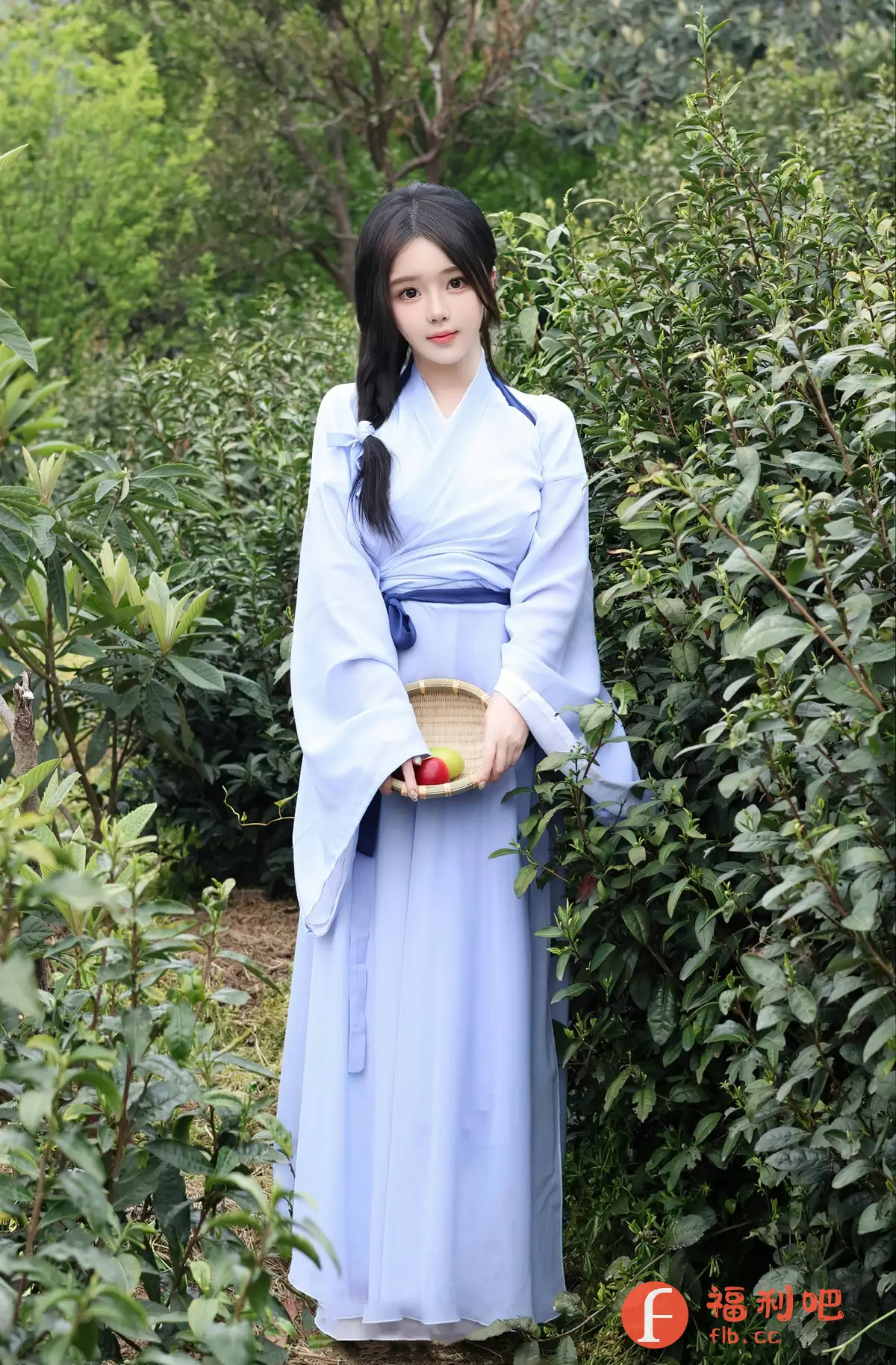 照片中是一位身着淡蓝色古装的美女,她身处一片绿意盎然的茶园中。她一头乌黑的长发编成麻花辫,俏皮地垂在一侧。她穿着一件飘逸的汉服,腰间束着深蓝色腰带,更显身材纤细。她的双手捧着一个精致的竹编小篮子,里面装着红色的果实。
她面容姣好,眼神温柔,微微一笑,透露出一种古典美和温婉气质。周围是茂盛的茶树,绿色的茶叶在阳光下闪烁着光泽。整个画面充满了诗意和意境,让人感受到一种宁静和美好的氛围。她仿佛是从古代画卷中走出来的女子,置身于这片茶园中,显得格外清新脱俗。