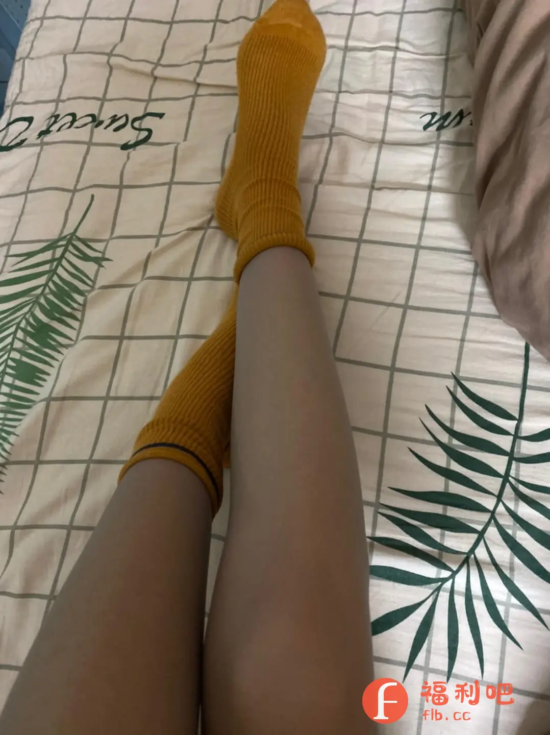 描述:这是一张静谧舒适的家居照片,展示了一双穿着姜黄色长袜的修长腿部。袜子质地柔软,带有竖条纹路,袜口有深色滚边点缀,增添了细节感。腿部肤色健康,线条流畅,给人以青春活力的印象。背景是带有棕榈叶图案的格子床单,营造出一种清新自然的氛围。整体画面色彩温暖柔和,光线自然,构图简洁,展现了居家生活的轻松惬意。照片细节丰富,富有生活气息,能够引发人们对舒适度和美好生活的向往。同时,长袜也成为视觉焦点,吸引人们关注其款式和质感。这可能是一张关于家居生活或时尚穿搭的展示图片。