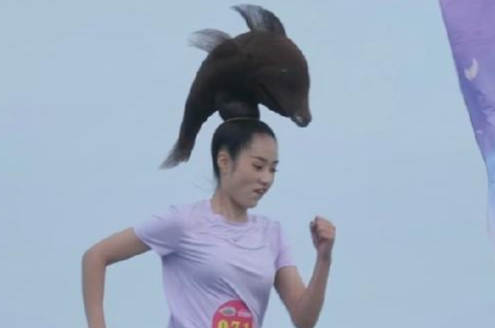 美女海豚发型参加向前冲